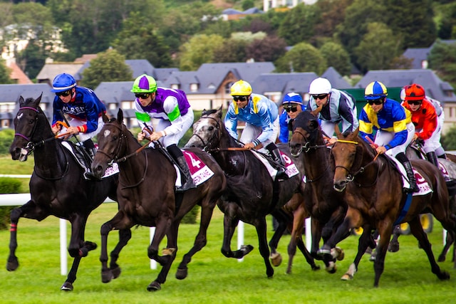 Horse Racing Melbourne Cup