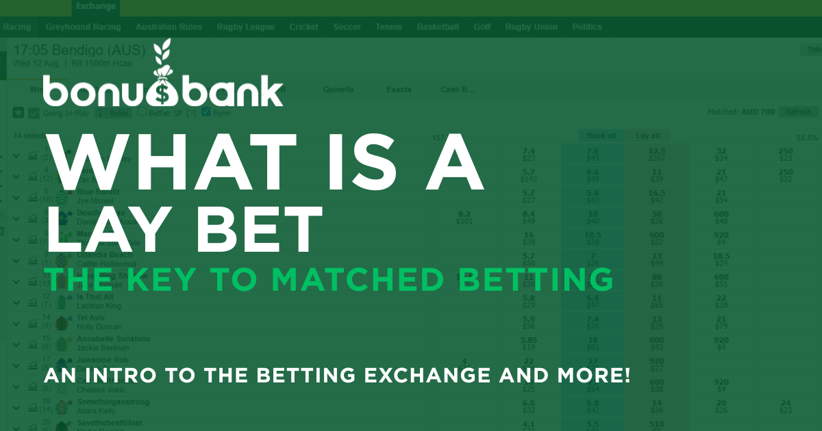 What is a Lay Bet?